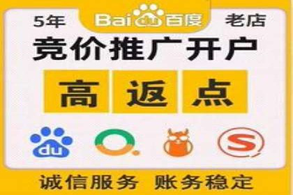 案例解析：SEM优化助力电商转化